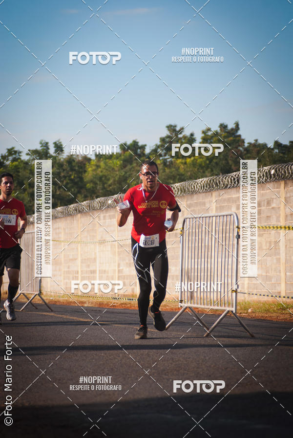 Buy your photos of the event2� CORRIDA CORREDOR SANGUE BOM on Fotop