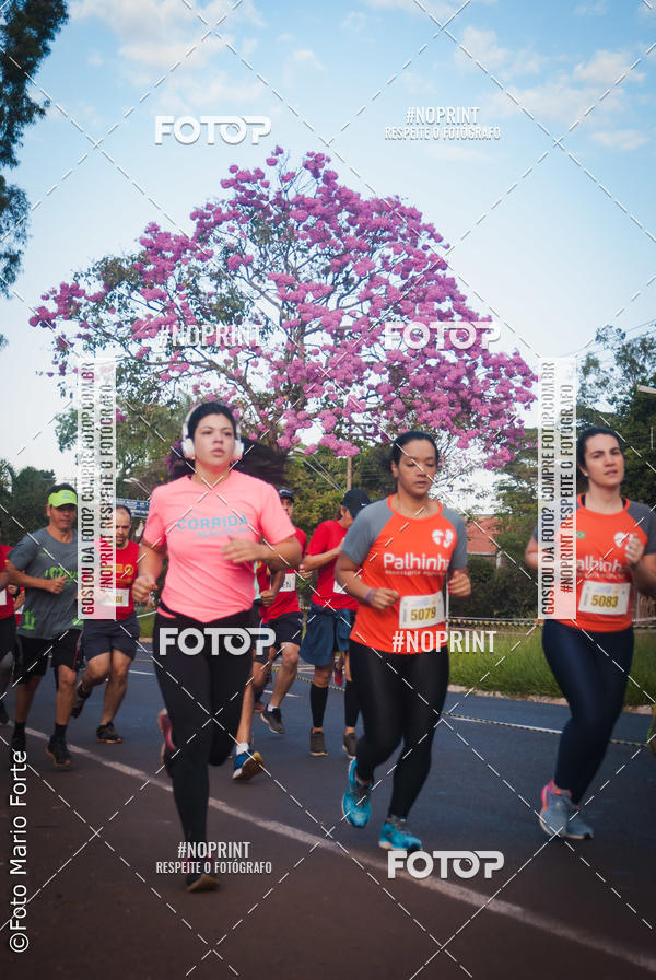 Buy your photos of the event2� CORRIDA CORREDOR SANGUE BOM on Fotop
