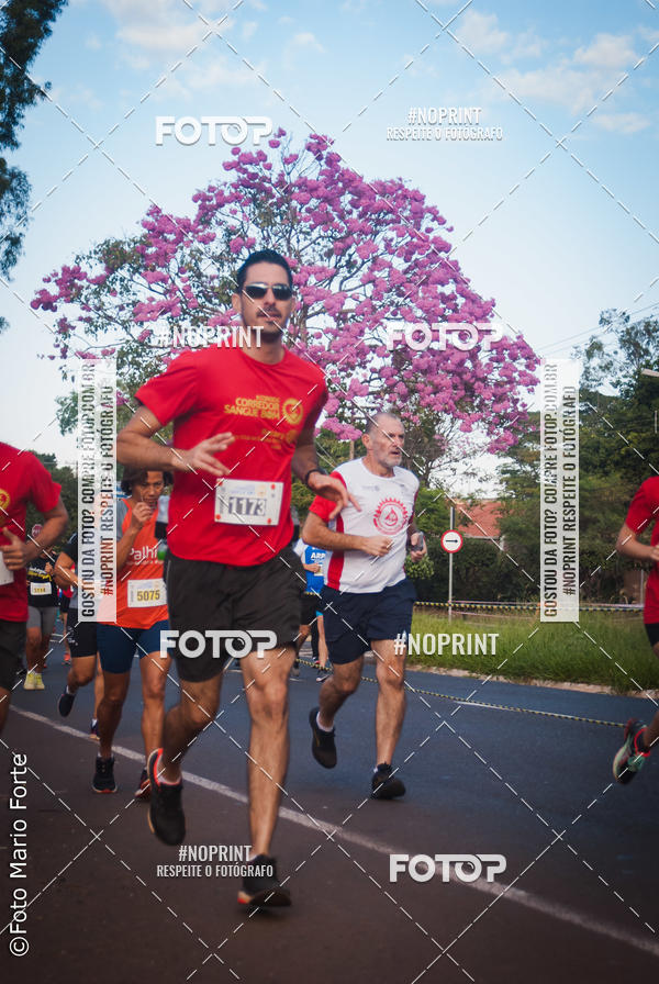 Buy your photos of the event2� CORRIDA CORREDOR SANGUE BOM on Fotop