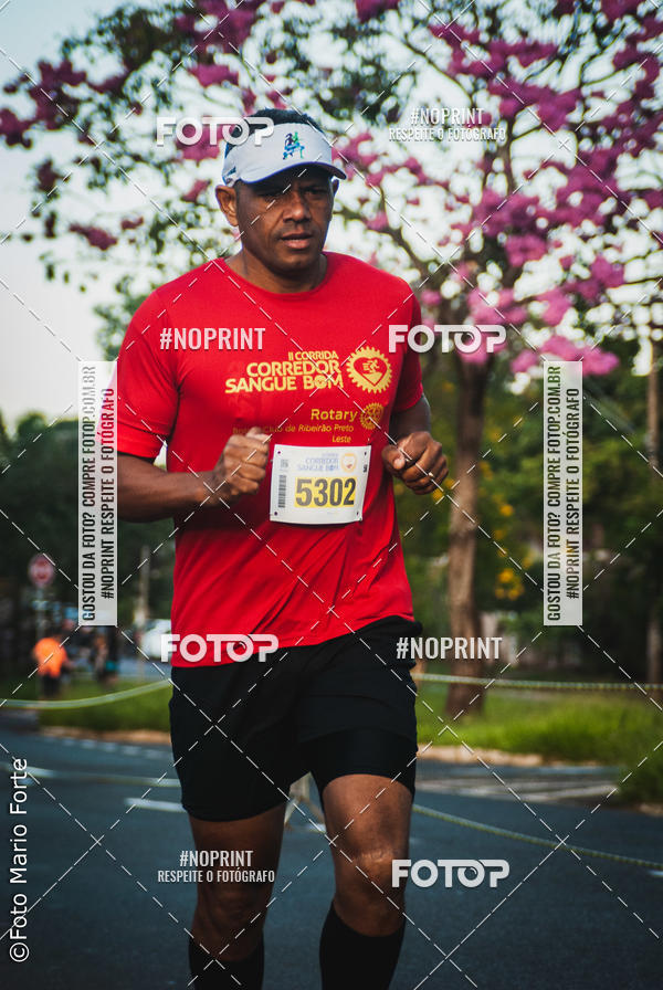 Buy your photos of the event2� CORRIDA CORREDOR SANGUE BOM on Fotop