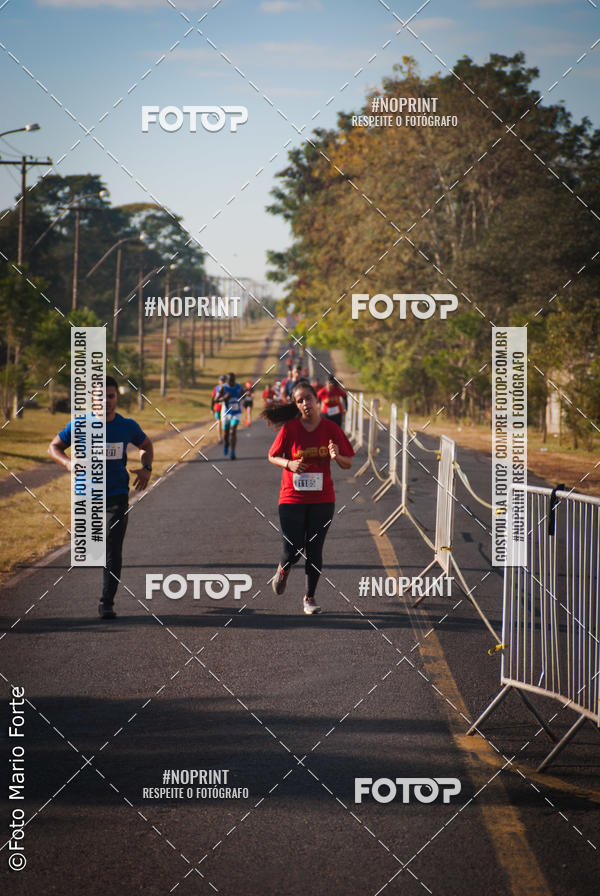 Buy your photos of the event2� CORRIDA CORREDOR SANGUE BOM on Fotop