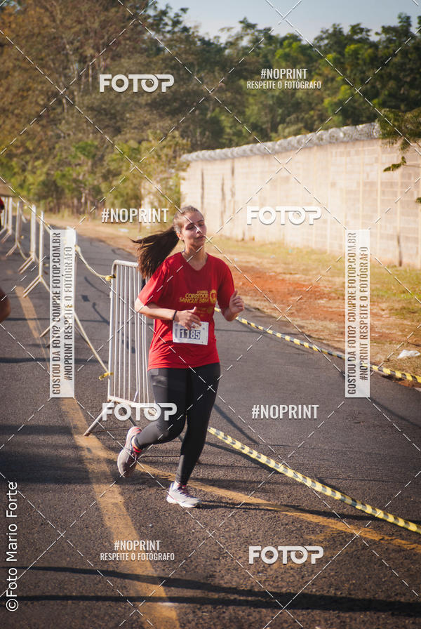Buy your photos of the event2� CORRIDA CORREDOR SANGUE BOM on Fotop