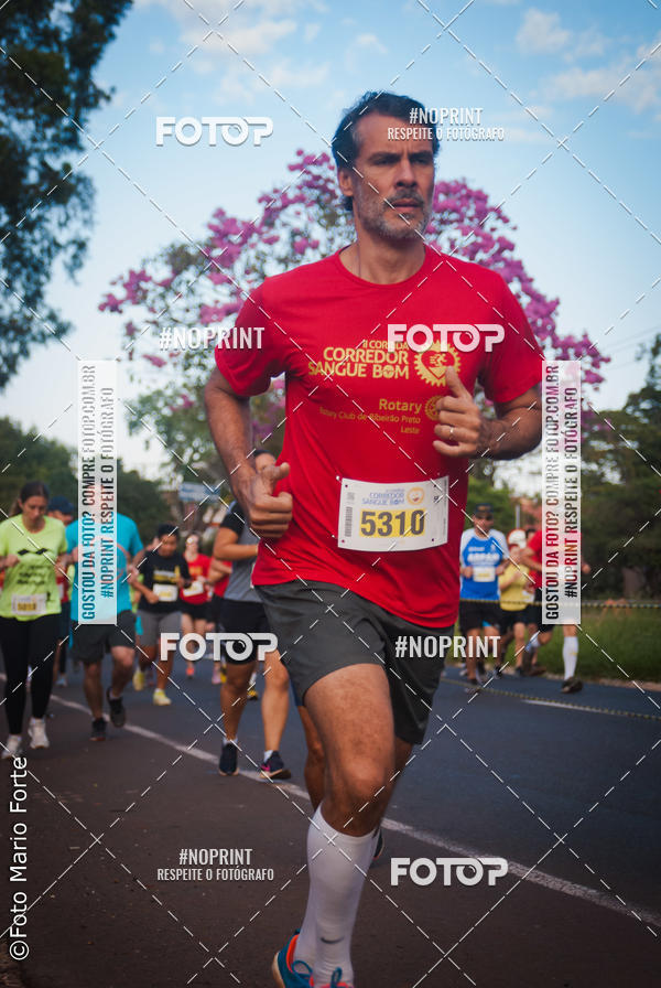 Buy your photos of the event2� CORRIDA CORREDOR SANGUE BOM on Fotop