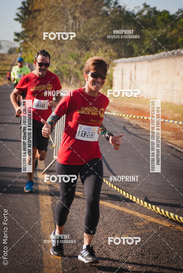 Buy your photos of the event2� CORRIDA CORREDOR SANGUE BOM on Fotop
