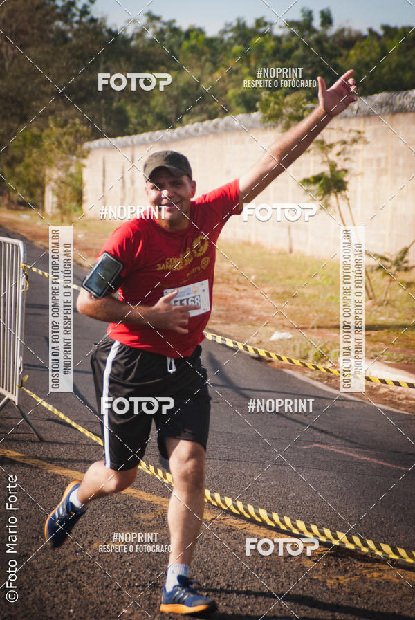 Buy your photos of the event2� CORRIDA CORREDOR SANGUE BOM on Fotop