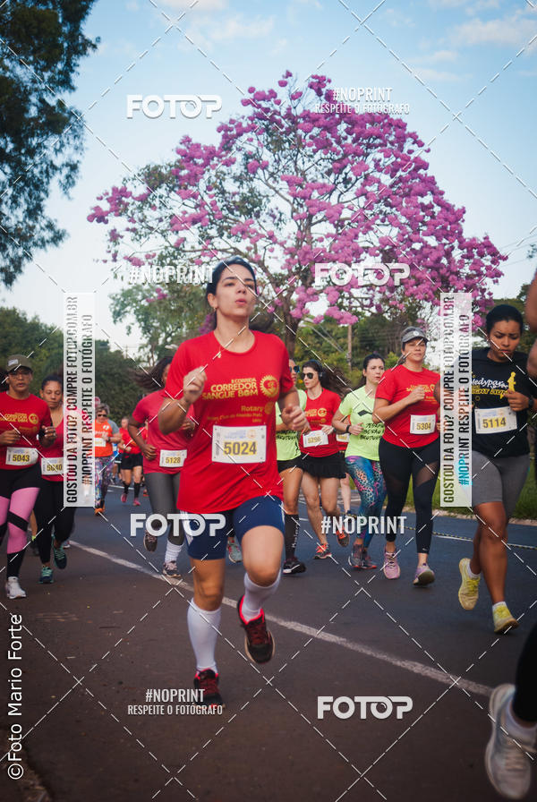 Buy your photos of the event2� CORRIDA CORREDOR SANGUE BOM on Fotop