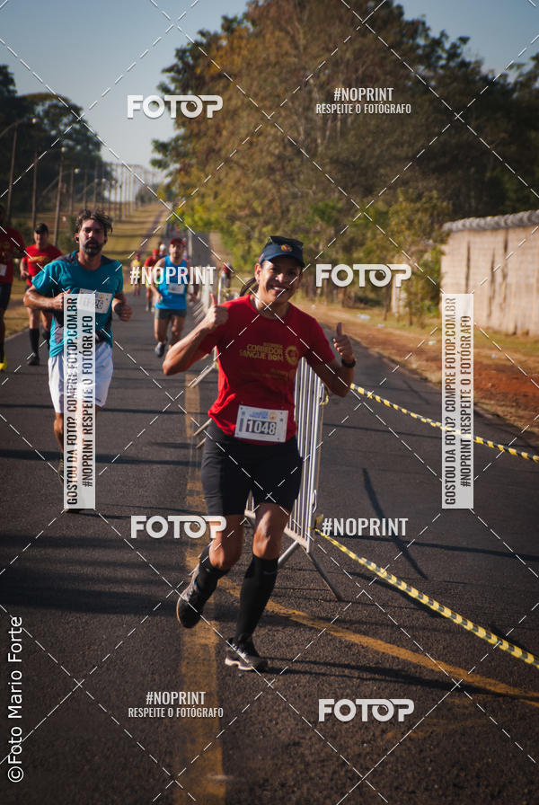 Buy your photos of the event2� CORRIDA CORREDOR SANGUE BOM on Fotop
