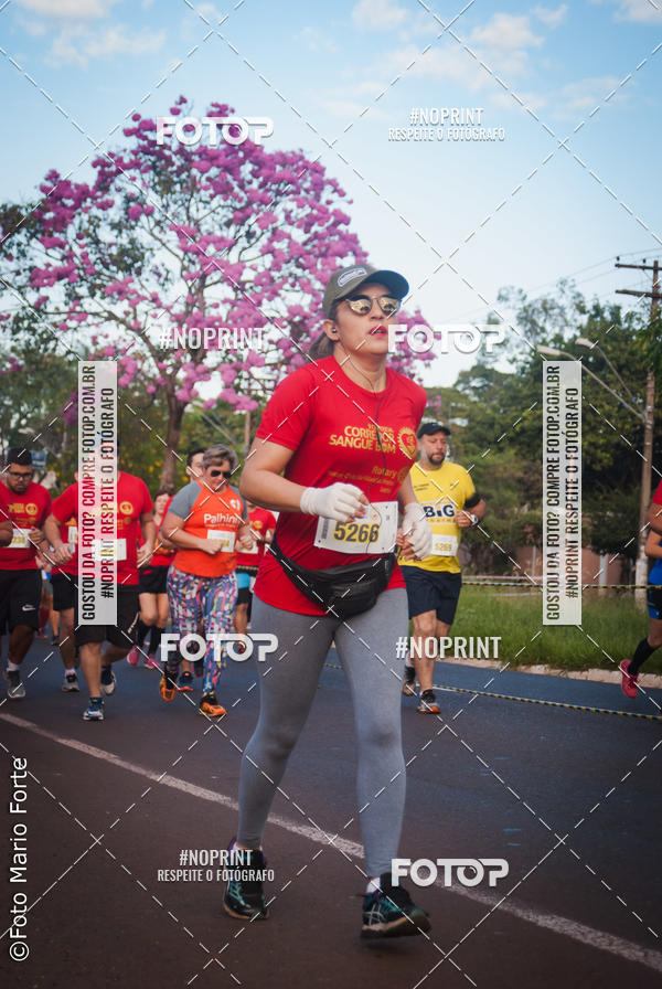 Buy your photos of the event2� CORRIDA CORREDOR SANGUE BOM on Fotop