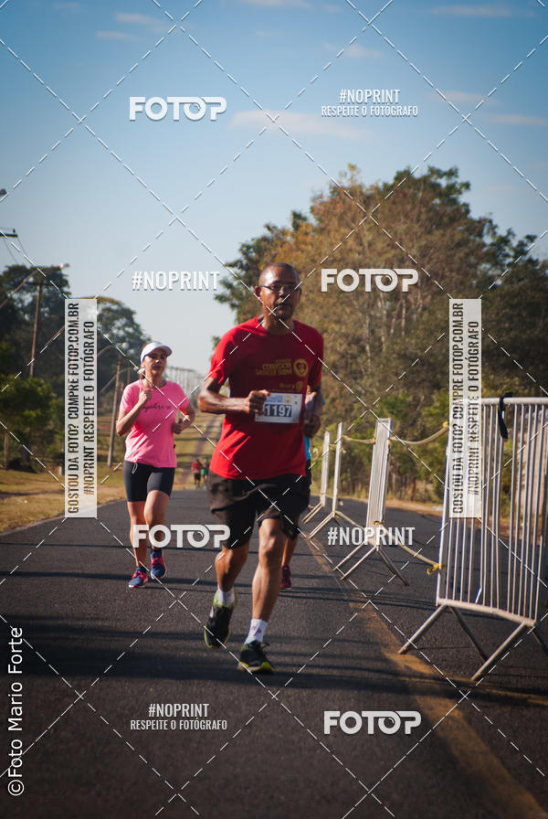 Buy your photos of the event2� CORRIDA CORREDOR SANGUE BOM on Fotop