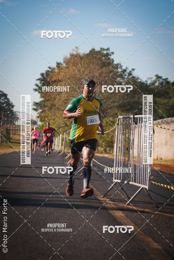 Buy your photos of the event2� CORRIDA CORREDOR SANGUE BOM on Fotop