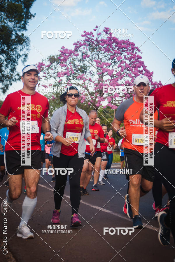 Buy your photos of the event2� CORRIDA CORREDOR SANGUE BOM on Fotop