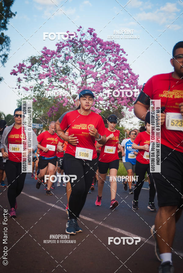 Buy your photos of the event2� CORRIDA CORREDOR SANGUE BOM on Fotop