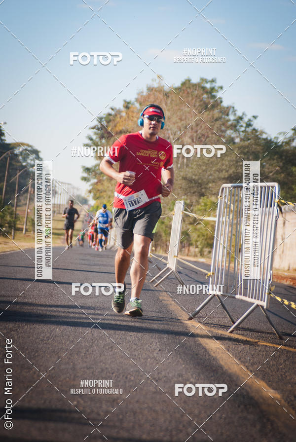 Buy your photos of the event2� CORRIDA CORREDOR SANGUE BOM on Fotop