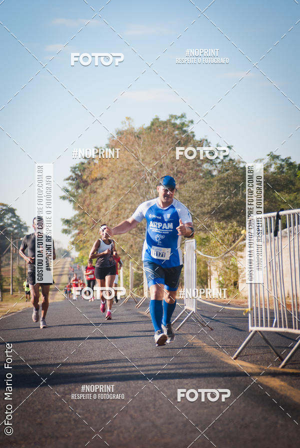 Buy your photos of the event2� CORRIDA CORREDOR SANGUE BOM on Fotop