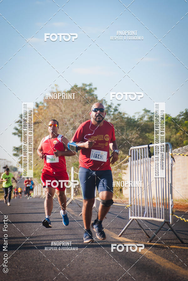 Buy your photos of the event2� CORRIDA CORREDOR SANGUE BOM on Fotop