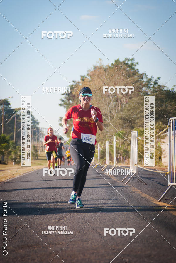 Buy your photos of the event2� CORRIDA CORREDOR SANGUE BOM on Fotop