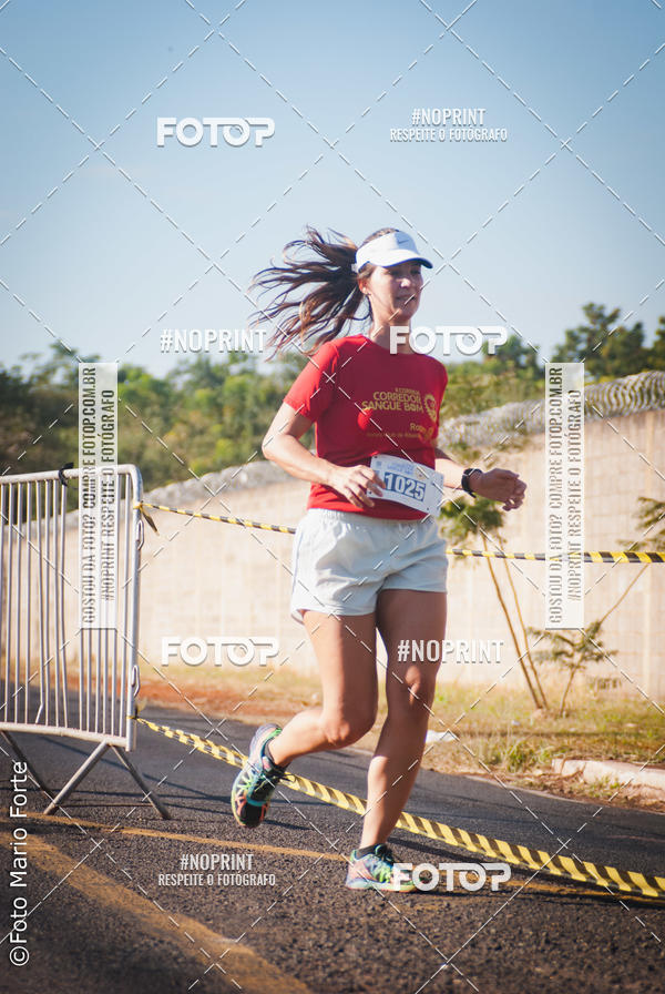 Buy your photos of the event2� CORRIDA CORREDOR SANGUE BOM on Fotop