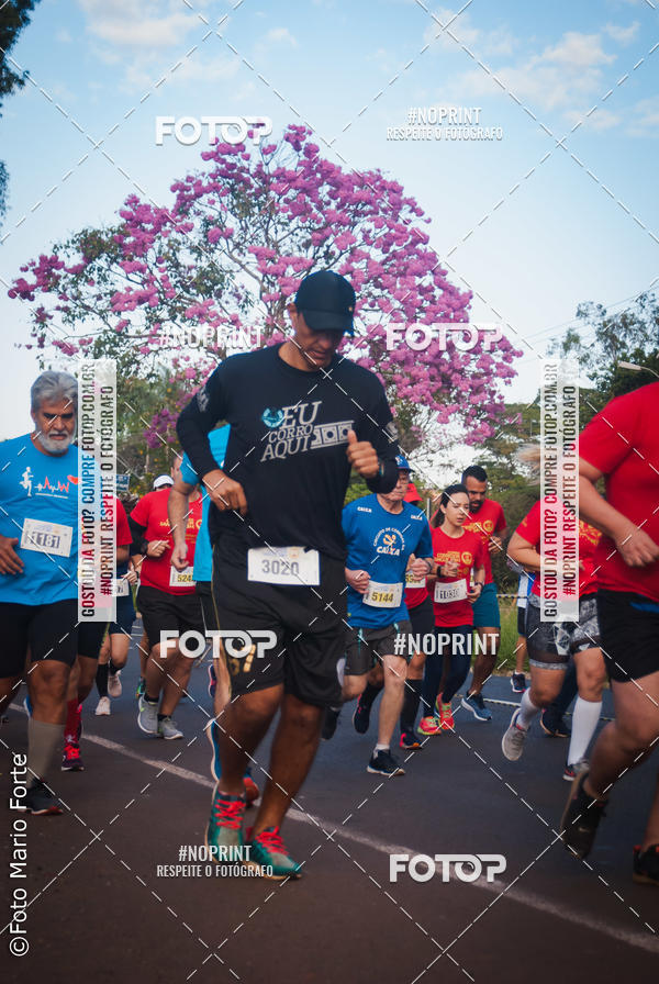 Buy your photos of the event2� CORRIDA CORREDOR SANGUE BOM on Fotop