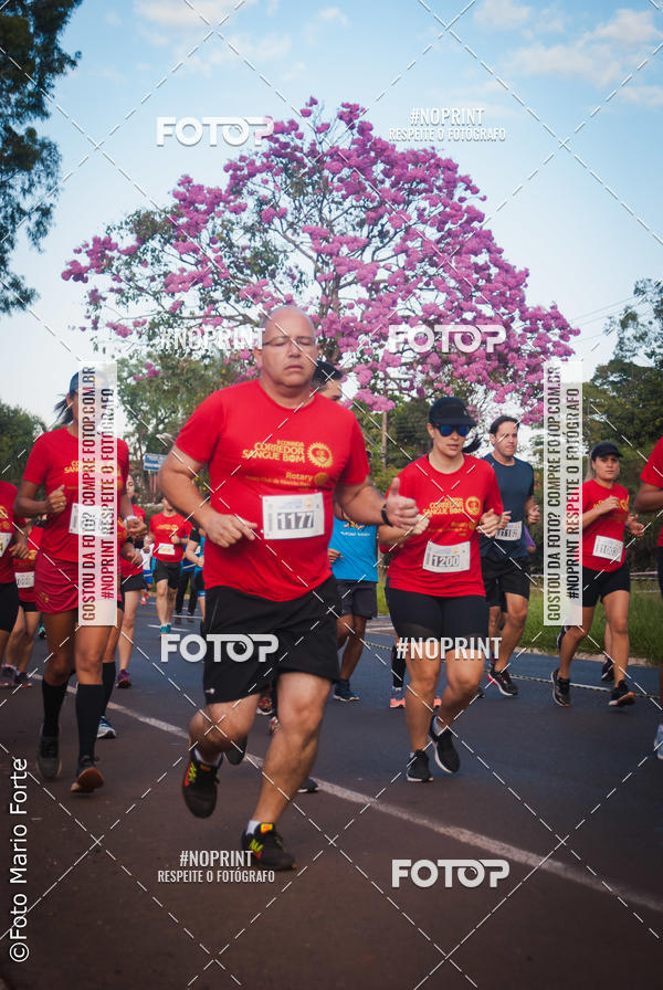 Buy your photos of the event2� CORRIDA CORREDOR SANGUE BOM on Fotop