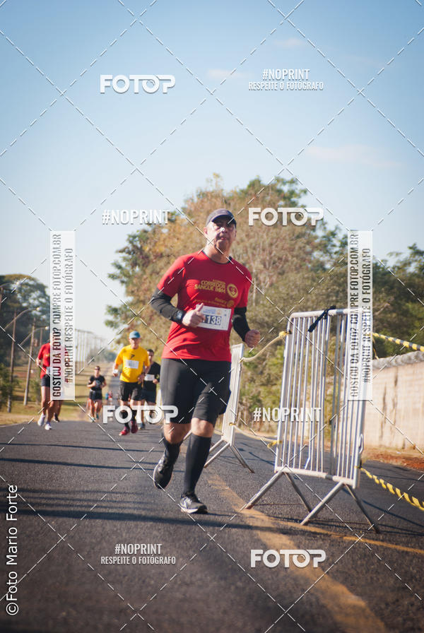 Buy your photos of the event2� CORRIDA CORREDOR SANGUE BOM on Fotop