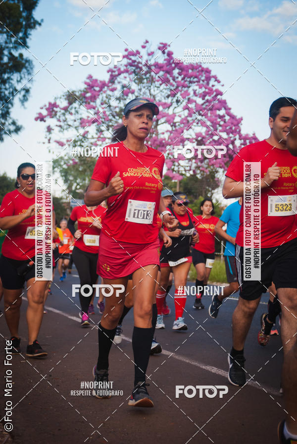 Buy your photos of the event2� CORRIDA CORREDOR SANGUE BOM on Fotop