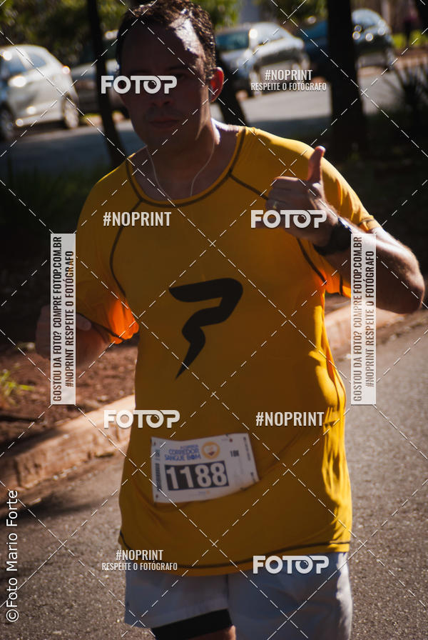Buy your photos of the event2� CORRIDA CORREDOR SANGUE BOM on Fotop