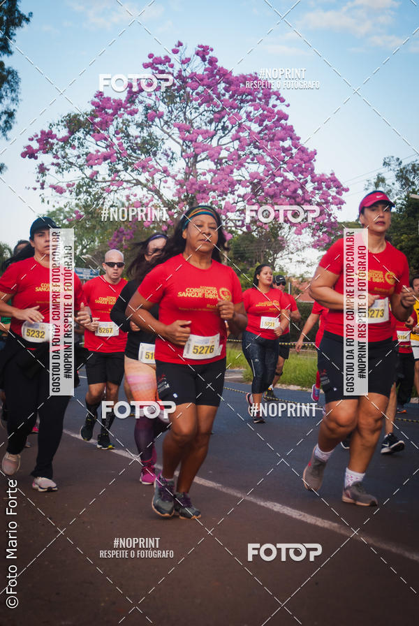 Buy your photos of the event2� CORRIDA CORREDOR SANGUE BOM on Fotop