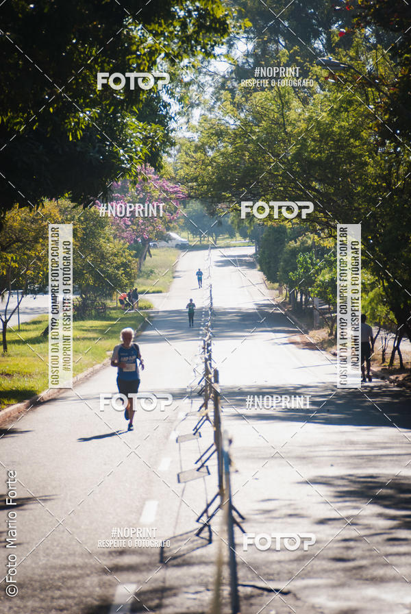Buy your photos of the event2� CORRIDA CORREDOR SANGUE BOM on Fotop