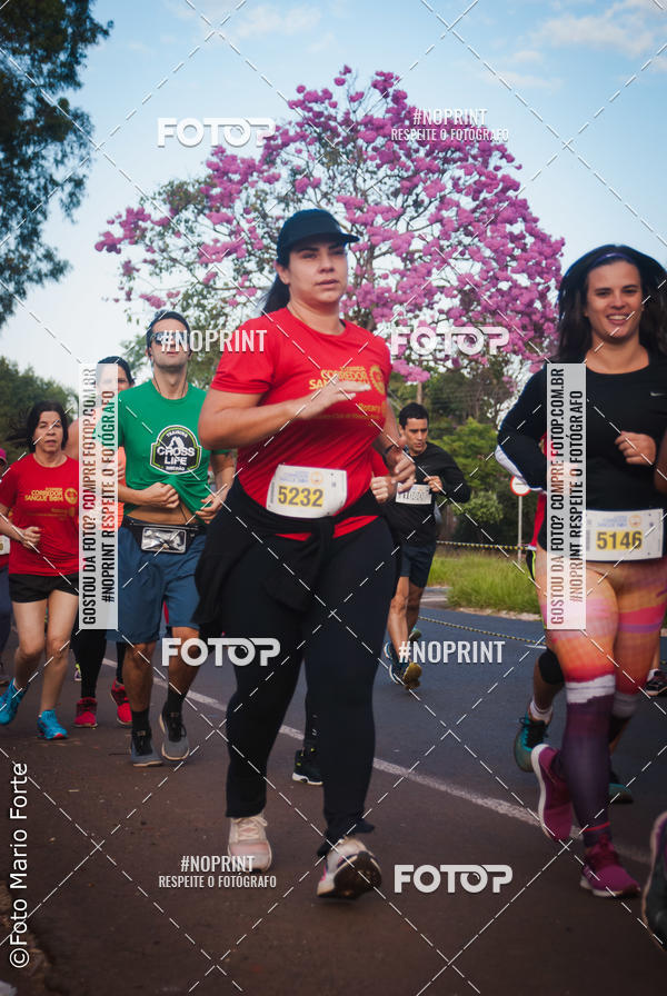 Buy your photos of the event2� CORRIDA CORREDOR SANGUE BOM on Fotop