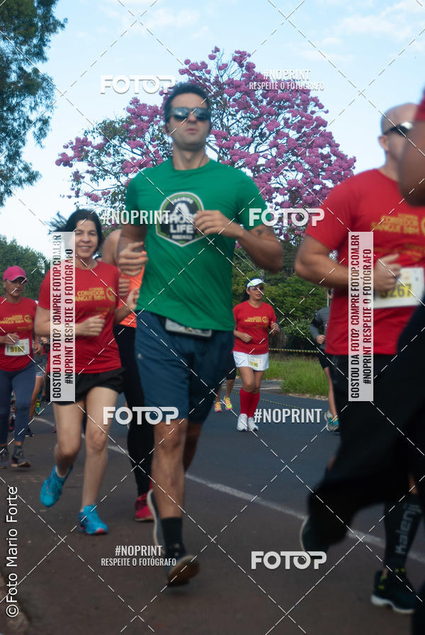 Buy your photos of the event2� CORRIDA CORREDOR SANGUE BOM on Fotop
