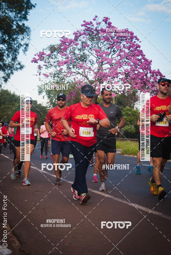 Buy your photos of the event2� CORRIDA CORREDOR SANGUE BOM on Fotop
