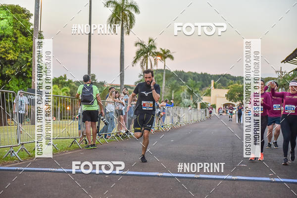 Buy your photos of the eventSunset Run 2019 on Fotop