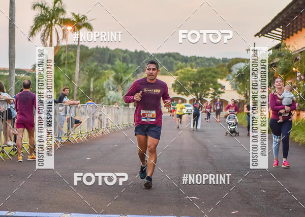 Buy your photos of the eventSunset Run 2019 on Fotop