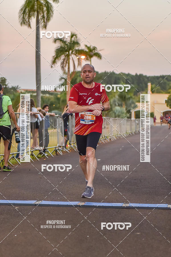 Buy your photos of the eventSunset Run 2019 on Fotop