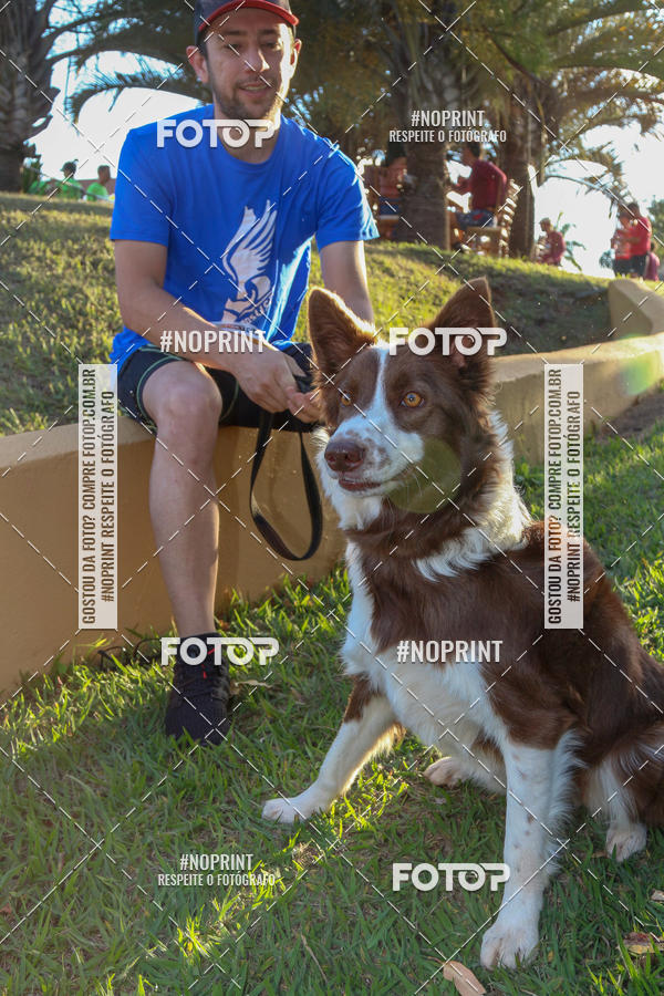 Buy your photos of the eventSunset Run 2019 on Fotop