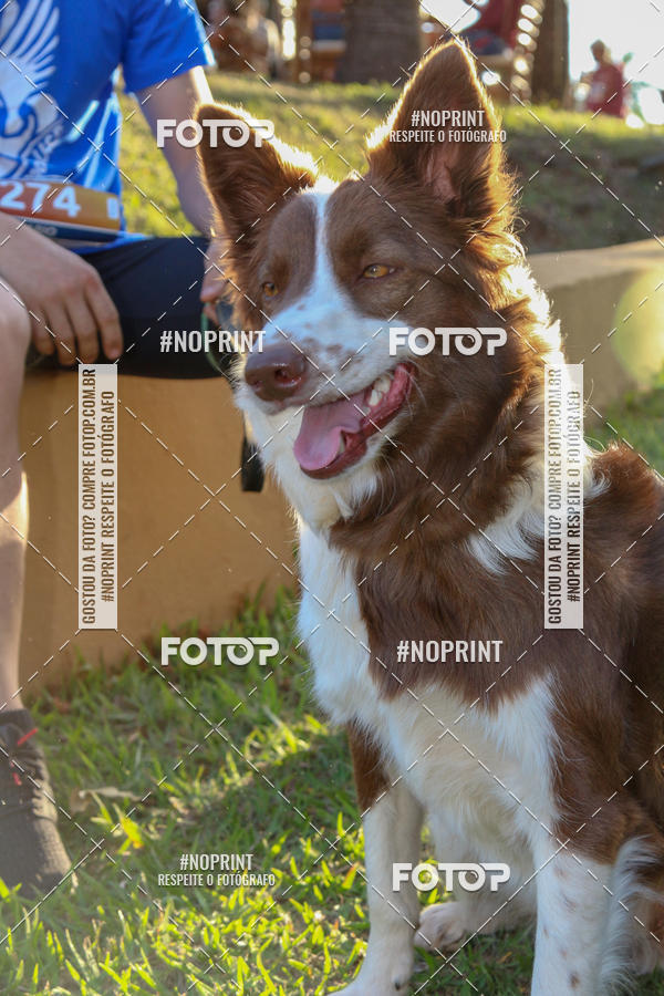 Buy your photos of the eventSunset Run 2019 on Fotop