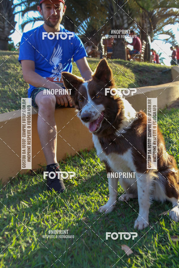 Buy your photos of the eventSunset Run 2019 on Fotop