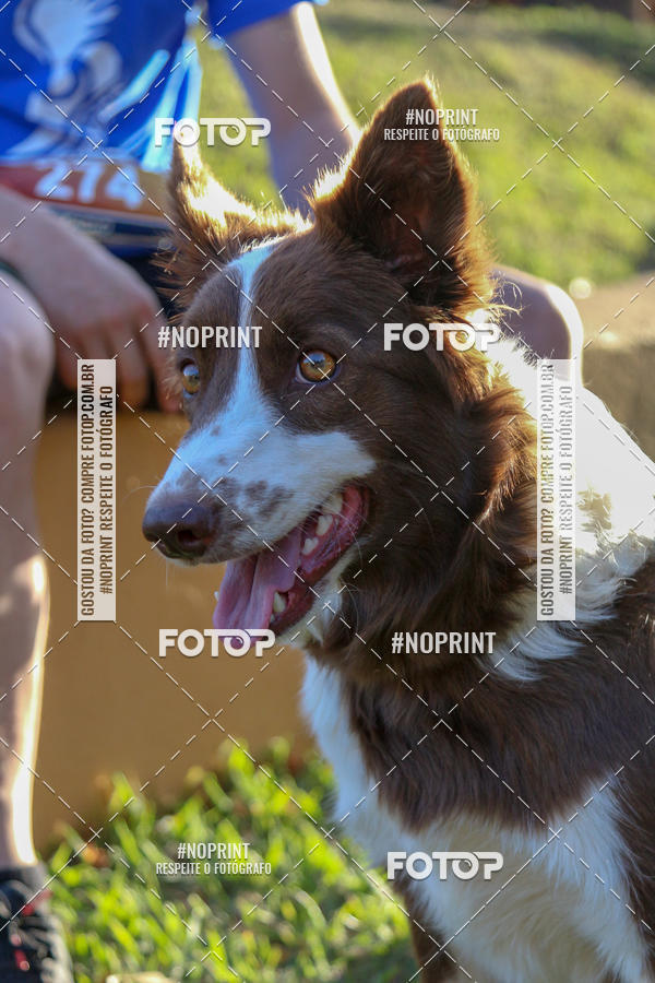 Buy your photos of the eventSunset Run 2019 on Fotop