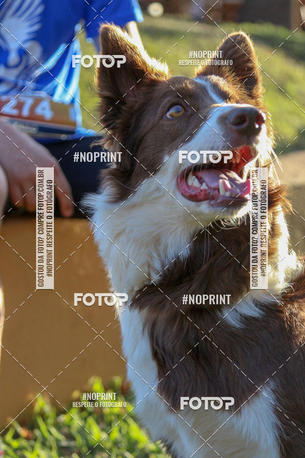 Buy your photos of the eventSunset Run 2019 on Fotop