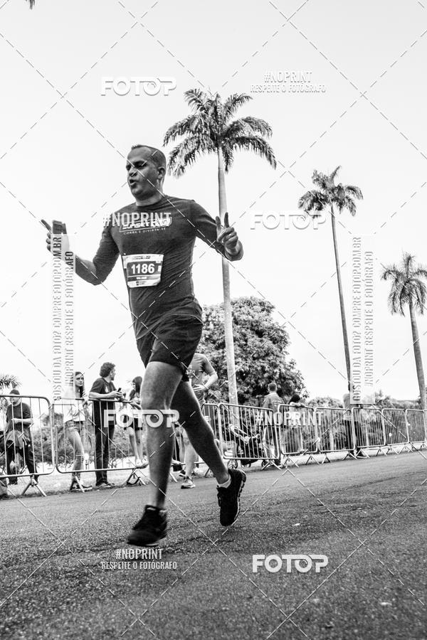 Buy your photos of the eventSunset Run 2019 on Fotop