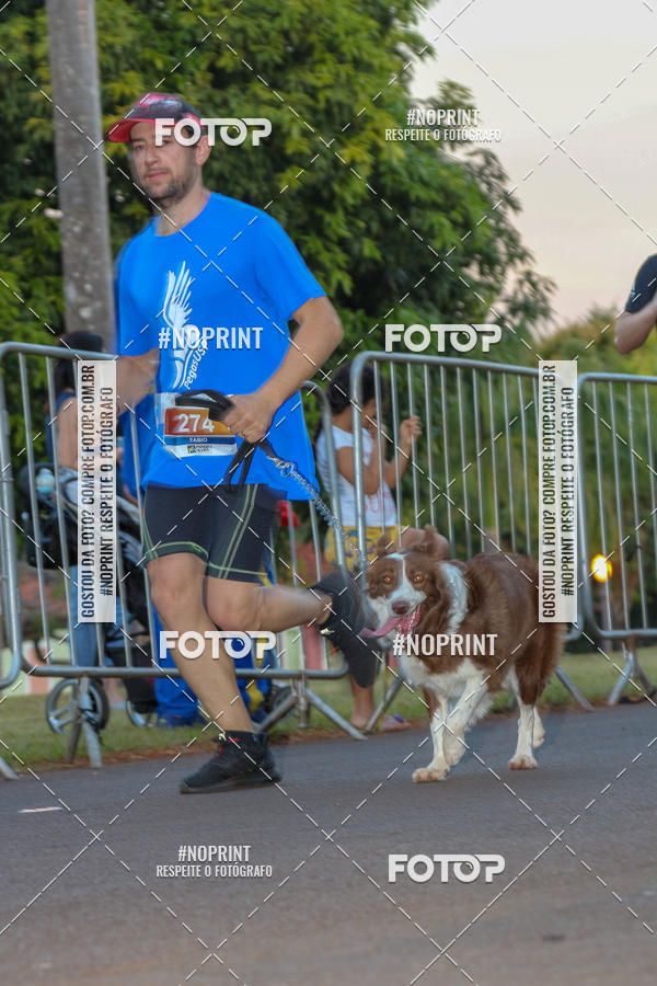 Buy your photos of the eventSunset Run 2019 on Fotop