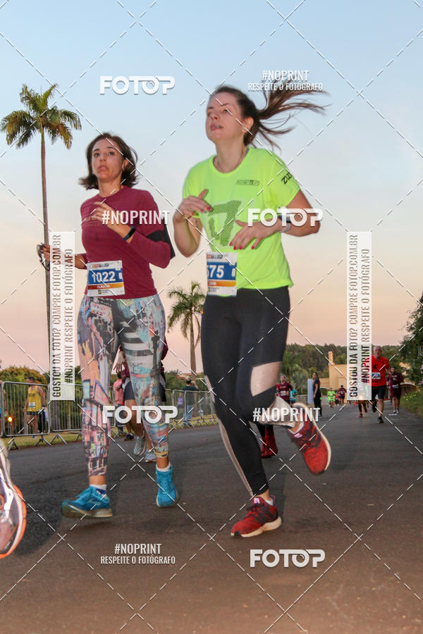 Buy your photos of the eventSunset Run 2019 on Fotop