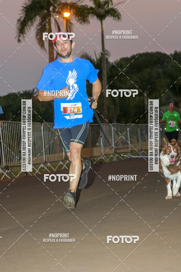 Buy your photos of the eventSunset Run 2019 on Fotop