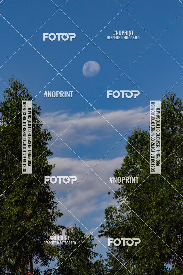 Compre as suas fotos do eventoSunset Run 2019 no Fotop