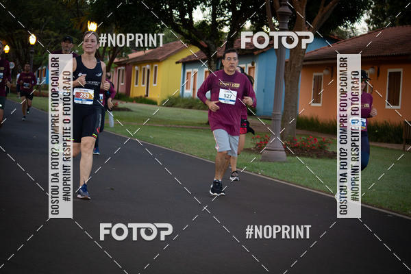 Buy your photos of the eventSunset Run 2019 on Fotop