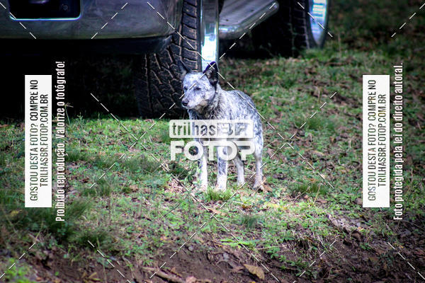 Buy your photos of the eventCopa EndorPhhine de MTB on Fotop