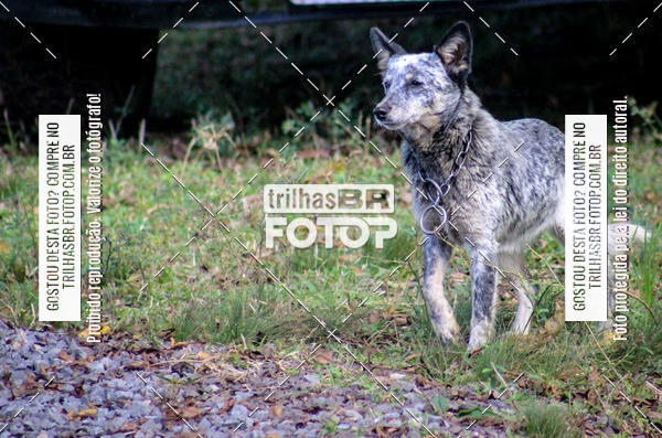 Buy your photos of the eventCopa EndorPhhine de MTB on Fotop