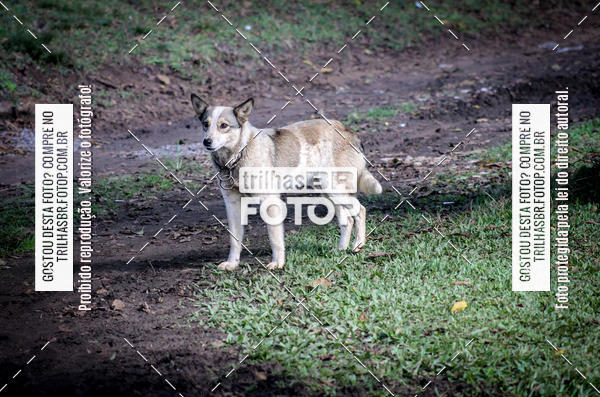 Buy your photos of the eventCopa EndorPhhine de MTB on Fotop