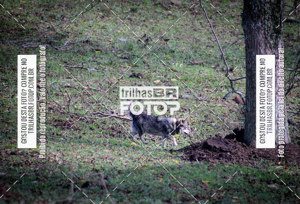 Buy your photos of the eventCopa EndorPhhine de MTB on Fotop