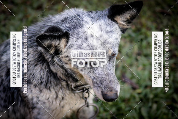 Buy your photos of the eventCopa EndorPhhine de MTB on Fotop